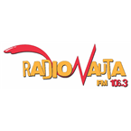 Radionauta logo