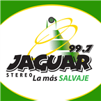 Jaguar Stereo logo