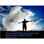 El nuevo Israel logo