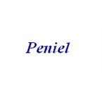 Radio Peniel logo