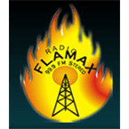 Radio Flamax logo
