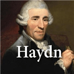 HAYDN logo