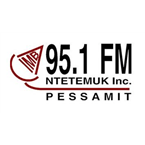 Radio Ntetemuk logo