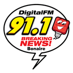 Radio Digital 91.1 FM logo