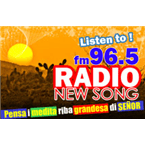 Radio New Song logo