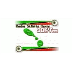 Radio St. Kitts Nevis logo