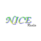 BDS Nice Radio SVG logo