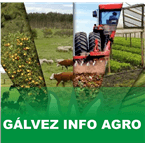 galvezinfoagro logo