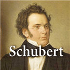 SCHUBERT logo