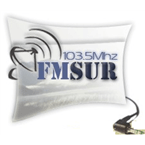 FM Sur logo