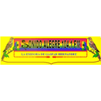 Sonido Alegre FM logo