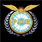 Radio pcb logo