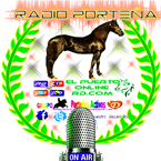 ELPUERTORD.COM logo