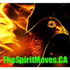 The Spirit Moves logo