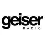 Geiser logo