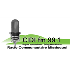 CIDI logo