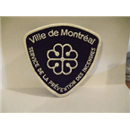 Montreal Fire SSIM logo