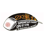 Shubiefm logo