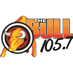 The Bull logo