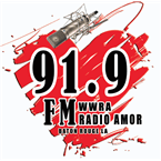 RADIO AMOR 91.9 FM logo