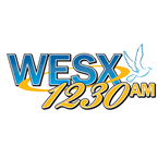 Radio Vida Boston logo