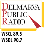 WSDL logo