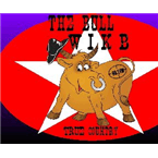 The Bull logo