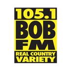 105.1 The Bull logo