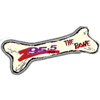 Z95 logo