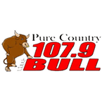 The Bull logo