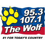 The Pulse of NH News Talk 107.3 WEMJ logo