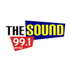 99.1 The Sound logo