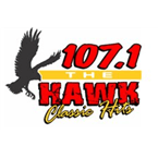 The Hawk logo