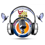 VIDA Jacksonville logo