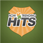 #1 Hits by NowTrending.com logo