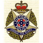 Southern Metro Division Public Safety logo