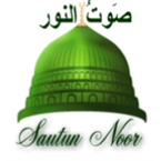 Sautun Noor logo