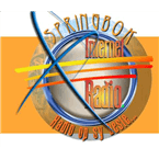 Springbok Internet Radio logo