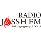 Radio Jossh logo