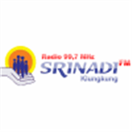 Srinadi FM logo