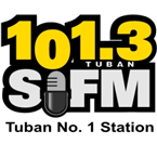 RADIO Si FM 101.3 logo
