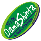Damashinta FM Pekalongan logo
