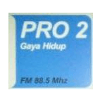 RRI Samarinda Pro 2 logo