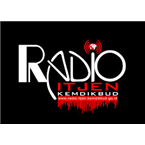 Itjen Kemdikbud Radio logo