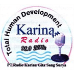 Radio Karina 98.0 logo