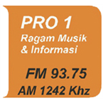 RRI P1 Bogor logo