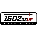 DZUP logo