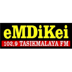 Tasikmalaya FM logo