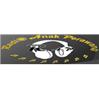 Radio Anak Perawang logo