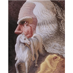 Bellick Radio Online logo